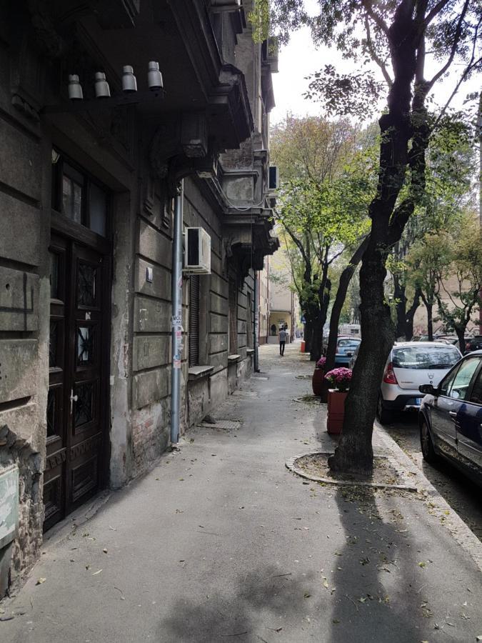 Classic Style Apartment Belgrad Exteriör bild